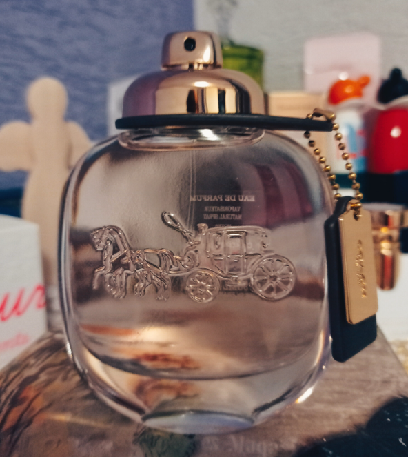 Coach the Fragrance Coach Women for all Occasions