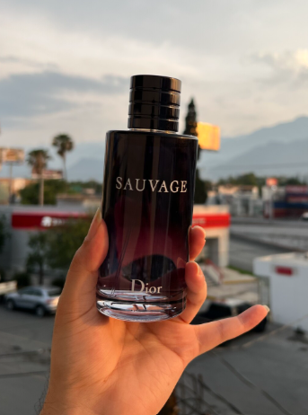 Christian Dior Sauvage Men EDP 100Ml